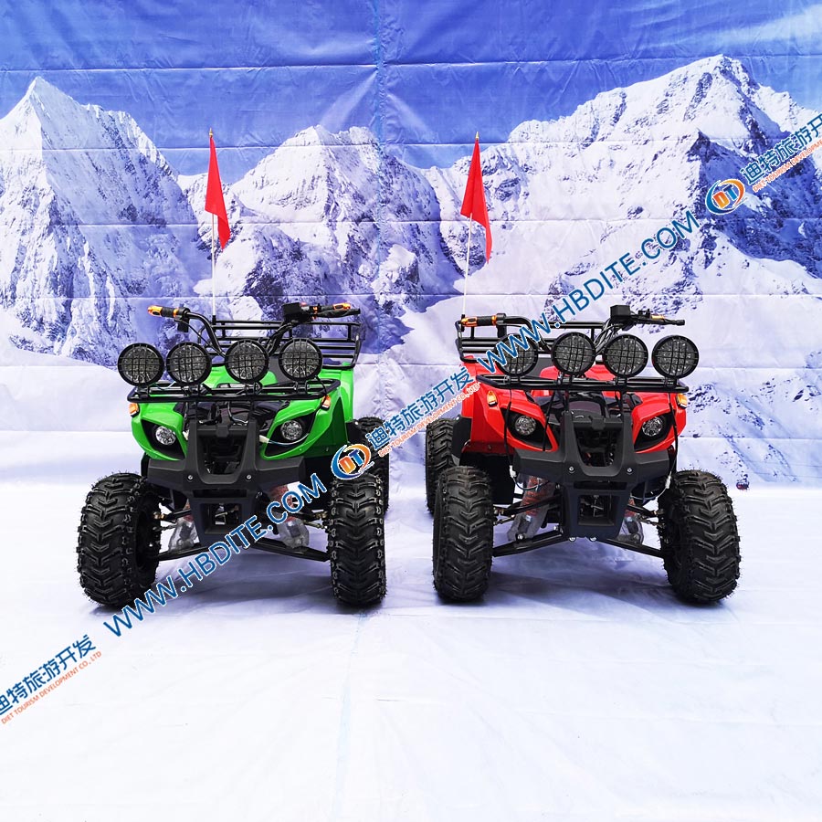 中公牛.jpg 中公牛.jpg